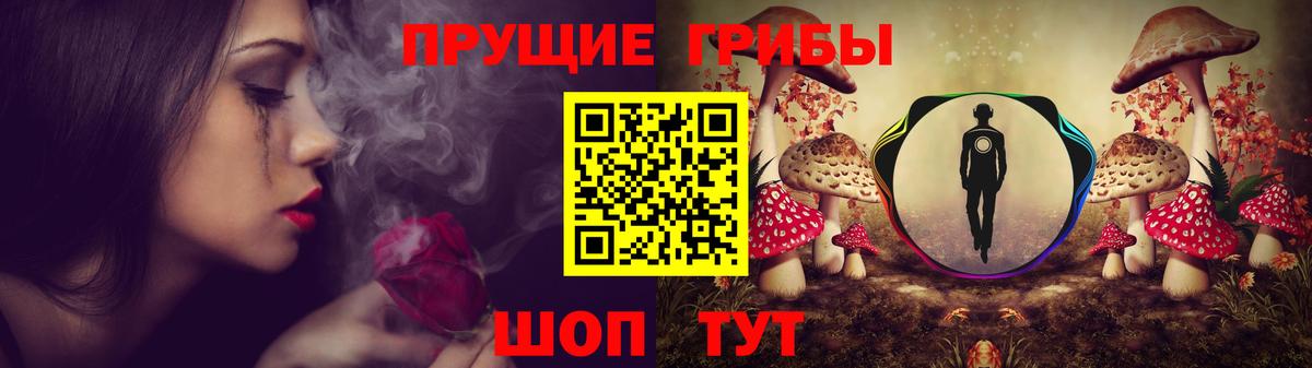 Тара  наркотики  Вход с VPN  Галлюциногенные грибы Psilocybe 